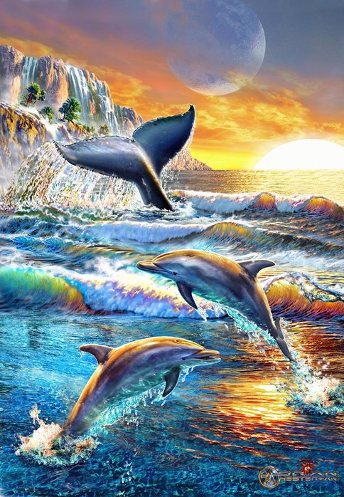 дельфин - океан, море, пейзаж, дельфины - оригинал