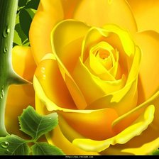 Оригинал схемы вышивки «желтая роза» (№236030)