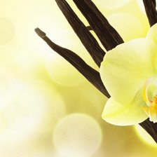 Оригинал схемы вышивки «желтая орхидея» (№236111)