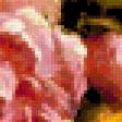 Предпросмотр схемы вышивки «Розы» (№236150)