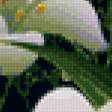 Предпросмотр схемы вышивки «белые лилии» (№236198)