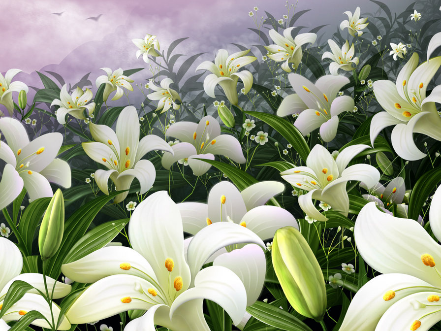 белые лилии - лилии, лето, фауна, букет, картина, цветы, природа - оригинал