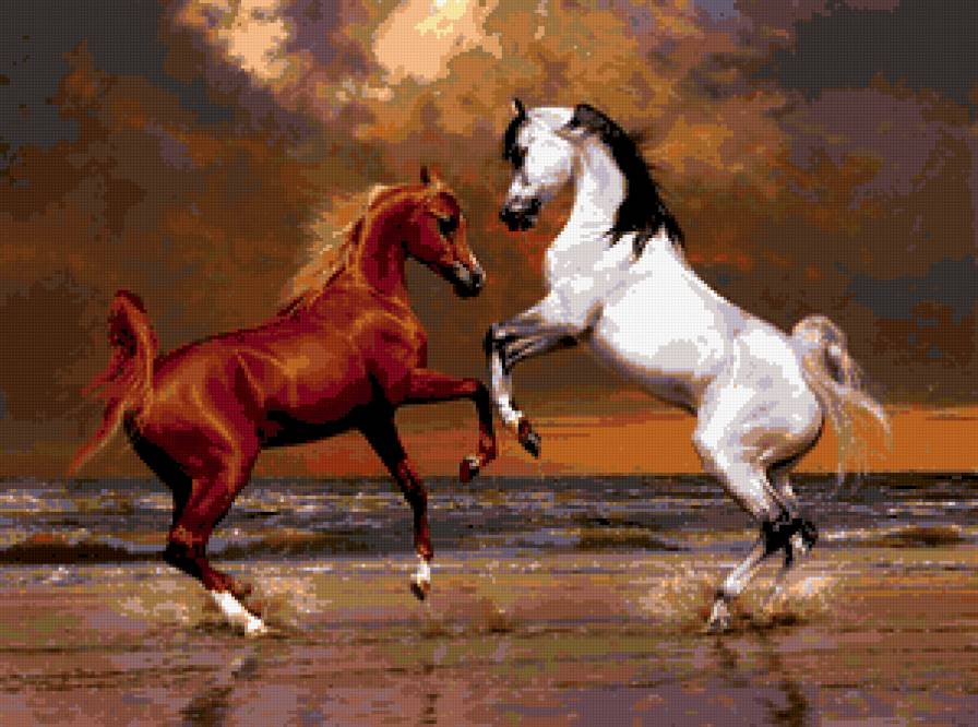лошади - конь, лошадки, кони, лошадь, животные, море - предпросмотр