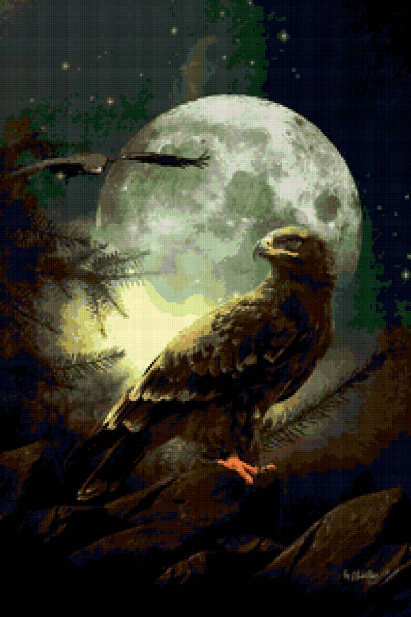 орел - птицы, хищники, ночь, луна, орлы, природа - предпросмотр
