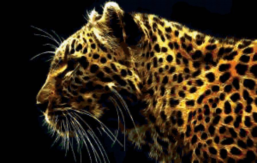 Леопард - предпросмотр
