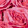 Предпросмотр схемы вышивки «Сердце из розовых роз» (№237502)