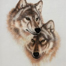 Оригинал схемы вышивки «волки» (№237812)