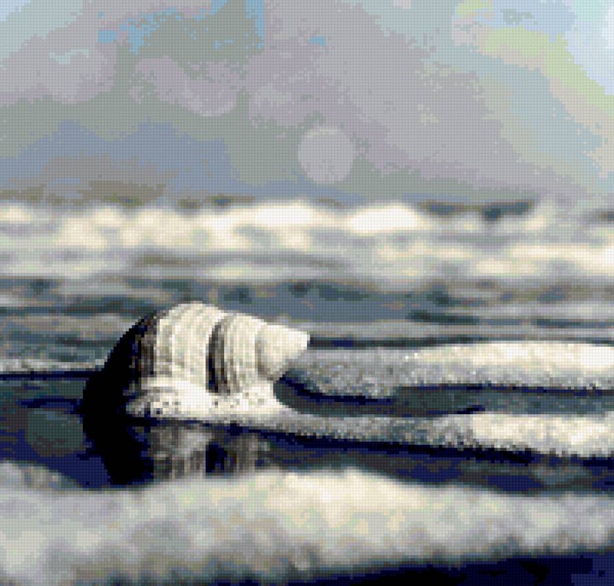 Море - ракушка, песок, воре - предпросмотр