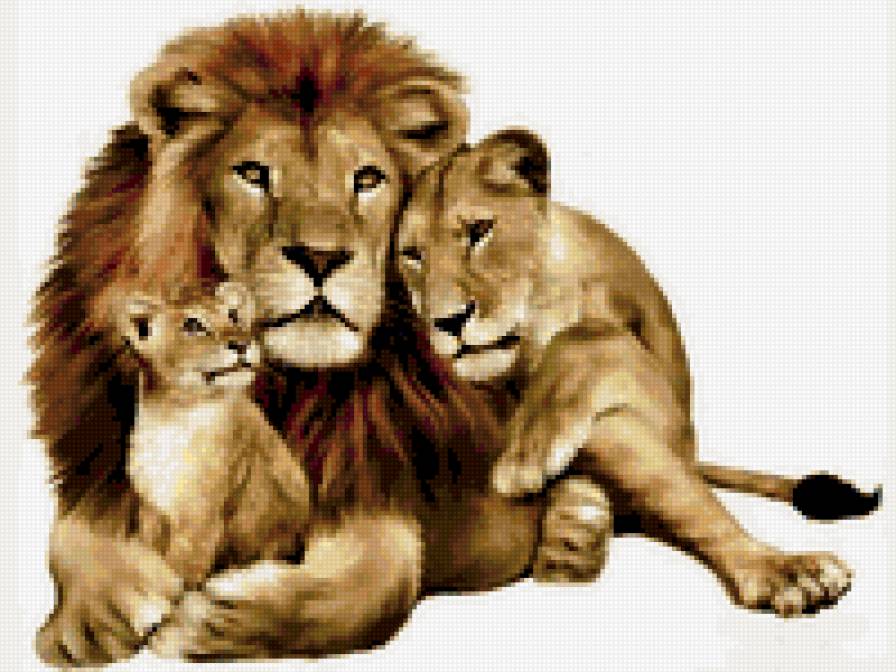 семейка льва - предпросмотр