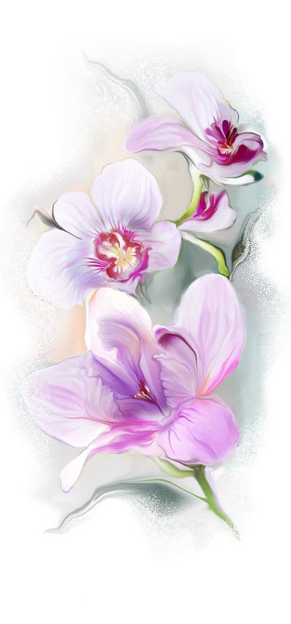 орхидеи - цветы орхидеи - оригинал