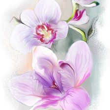 Оригинал схемы вышивки «орхидеи» (№238815)