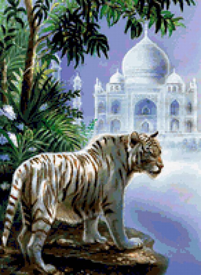 fehér tigris - предпросмотр
