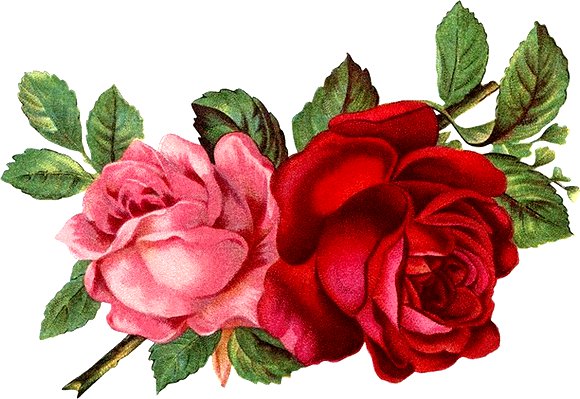 Розы - оригинал