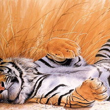 Схема вышивки «Тигр отдыхает»