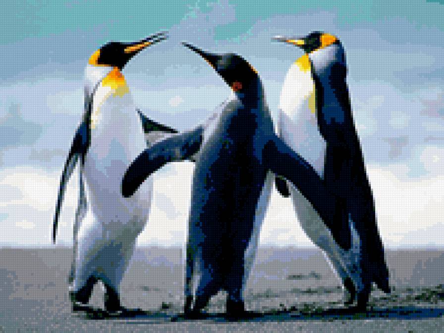 пингвины - предпросмотр