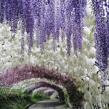 Схема вышивки «Цветущие сады Японии»
