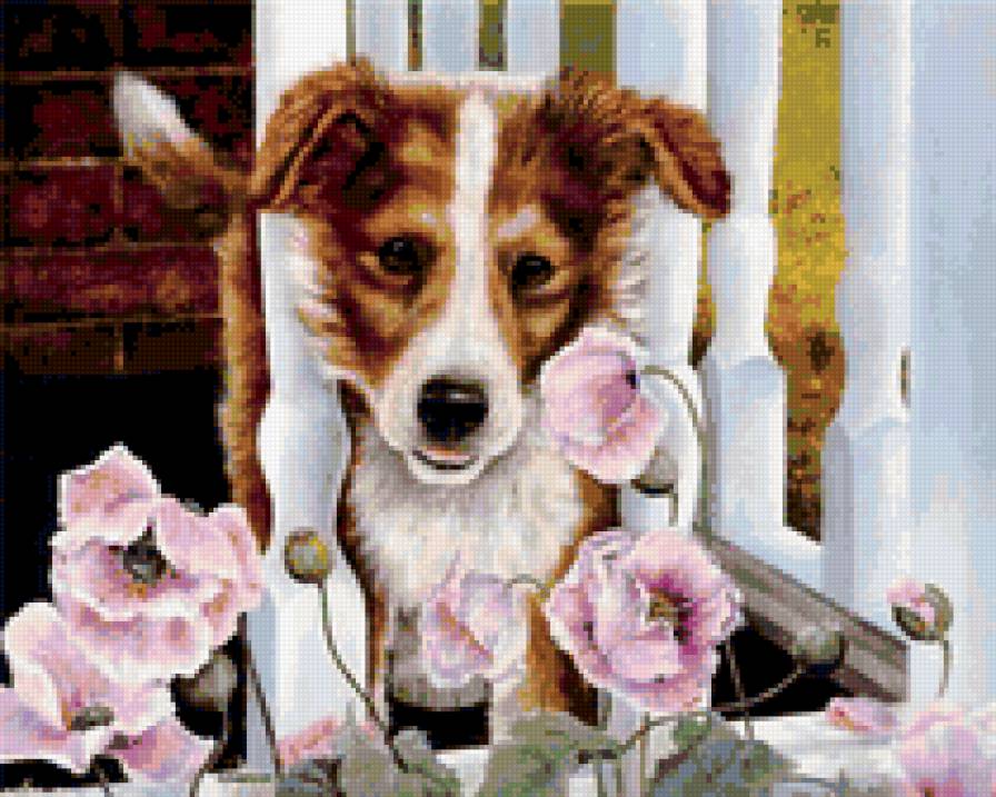 №239197 - цветы, собака, щенок - предпросмотр