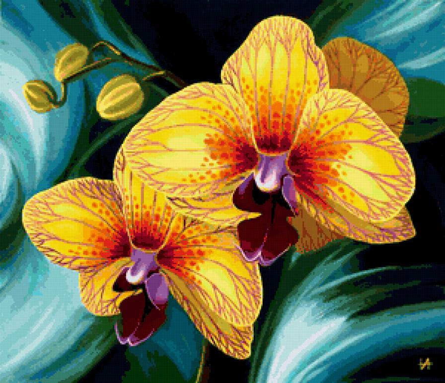 ОРХИДЕЯ - орхидея, цветы - предпросмотр
