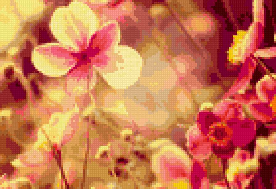Орхедея - цветы - предпросмотр