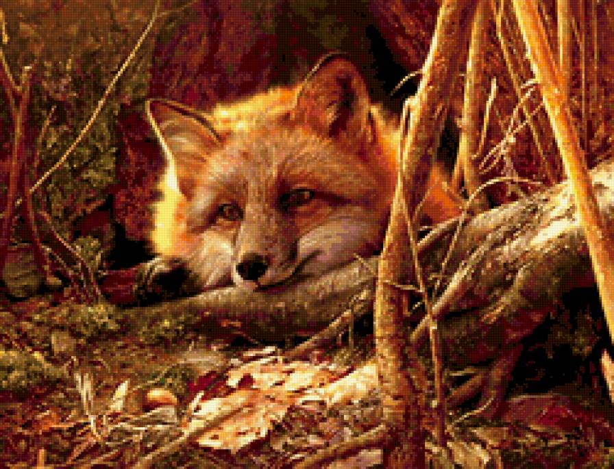Лисичка - лисы, животные, хищники - предпросмотр