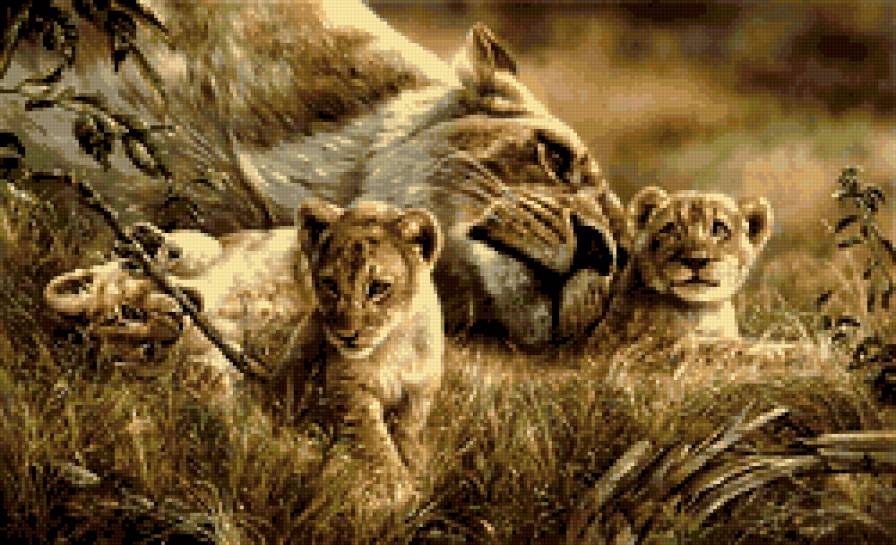 Семья на отдыхе - львы, животные, хищники - предпросмотр