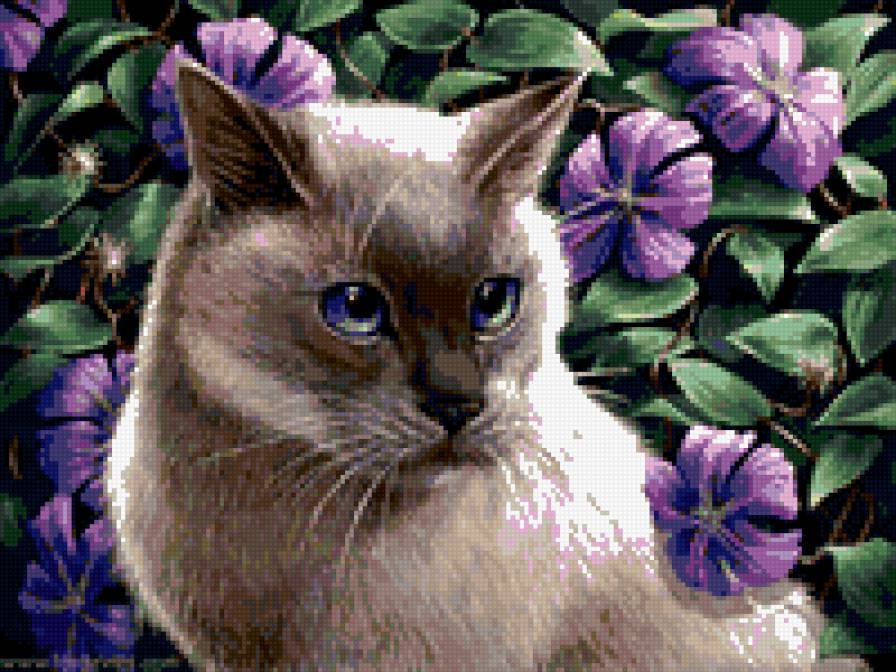 котитк - кошка, катенок, киса, кот, цвети - предпросмотр