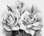Оригинал схемы вышивки «черно белые розы» (№240570)