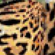Предпросмотр схемы вышивки «Леопарды» (№241008)