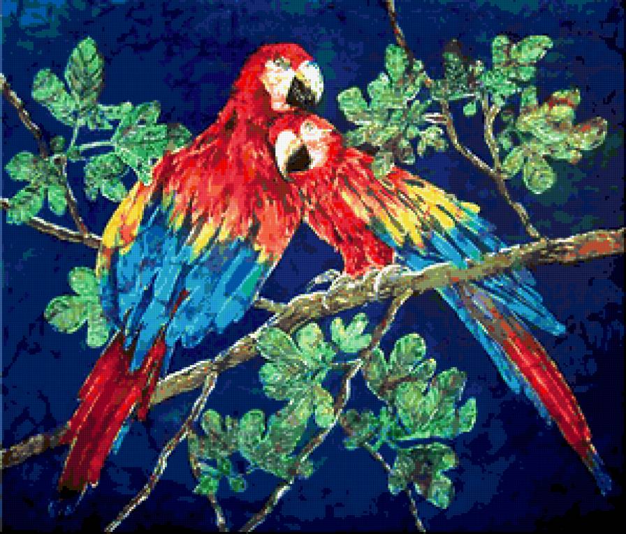 Попугаи - природа, попугаи, птици, картина - предпросмотр