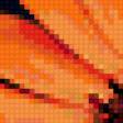 Предпросмотр схемы вышивки «оранжевое настроение» (№241156)
