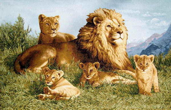 Львиная семья - дикие кошки, нежность, львы, зверь, хищник, лев, животные, семья - оригинал