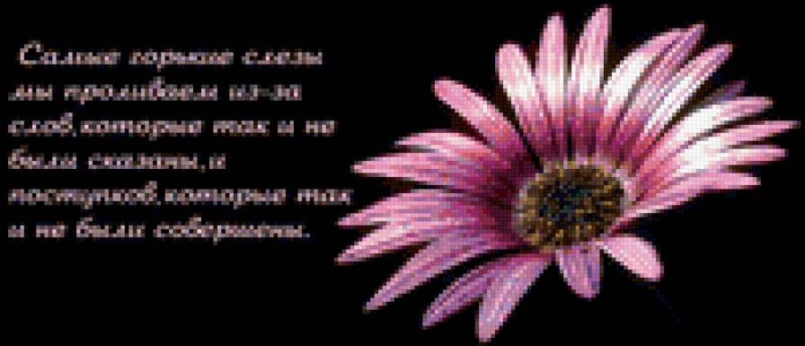 лиловый цветочек - предпросмотр