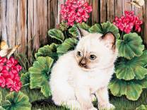 кошка в цветах - портрет, цветы, герань, кот, кошка - оригинал