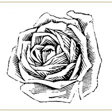 Оригинал схемы вышивки «роза» (№243184)