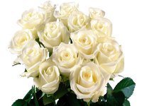 Оригинал схемы вышивки «Белые розы.» (№243335)