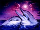 Дельфины. - море, дельфины - оригинал