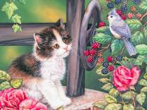 друзья - кошка, птица, друзья, котенок, ягоды, кот - оригинал