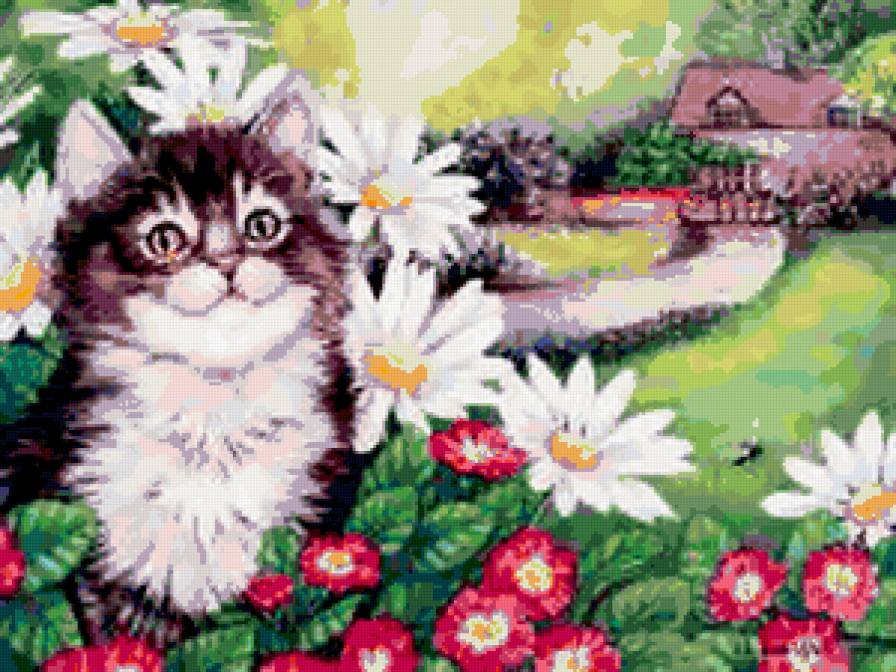 кошка в цветах - портрет, киса, кошка, кот, ромашки, цветы, пейзаж, маргаритки - предпросмотр
