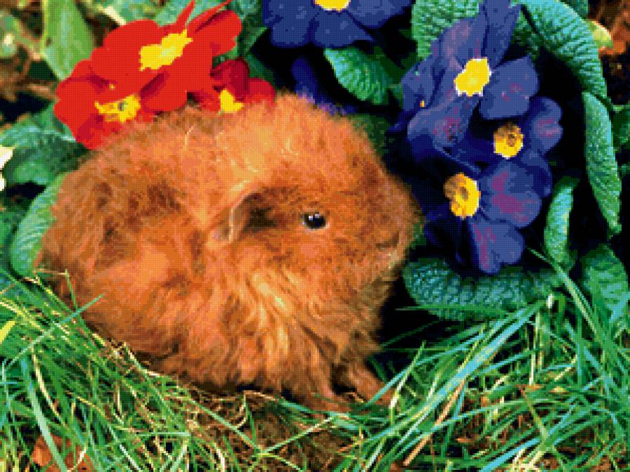 №243537 - цветы, кролик. зайка, животное - предпросмотр
