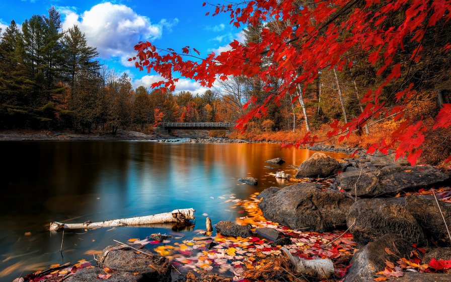 №243553 - осень, пейзаж, озеро, река, природа, горы, лес - оригинал
