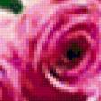 Предпросмотр схемы вышивки «Розы.» (№243694)