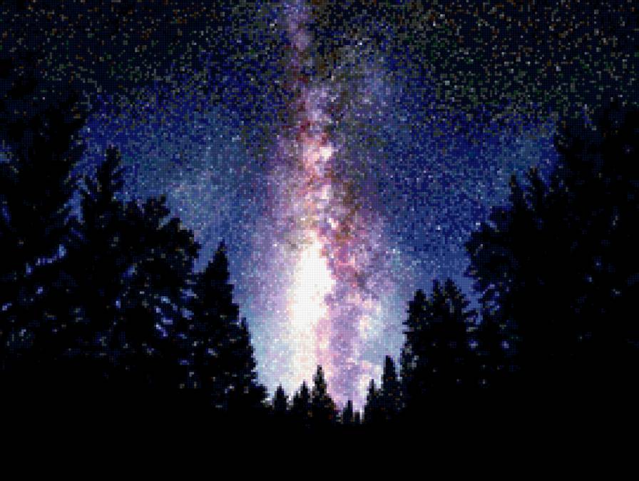 звездное небо - ночь, лес, небо, звезды - предпросмотр