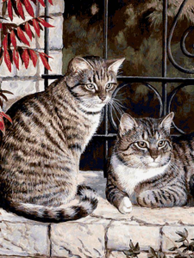 Мурка с Барсиком - картины, кошки - предпросмотр