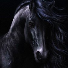 Оригинал схемы вышивки «черная лошадь» (№244448)