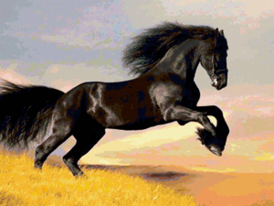 черный конь - животные, лошадь, конь - предпросмотр