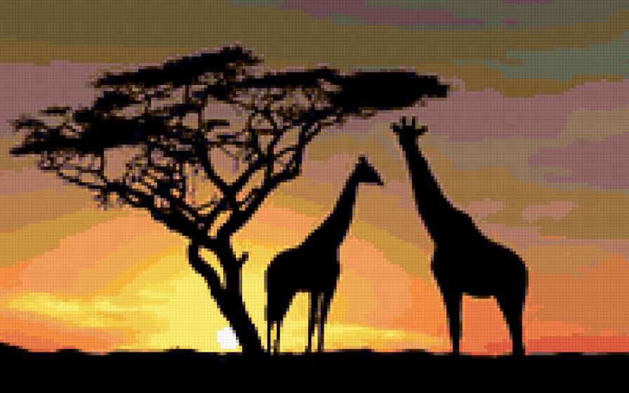Жирафики - предпросмотр