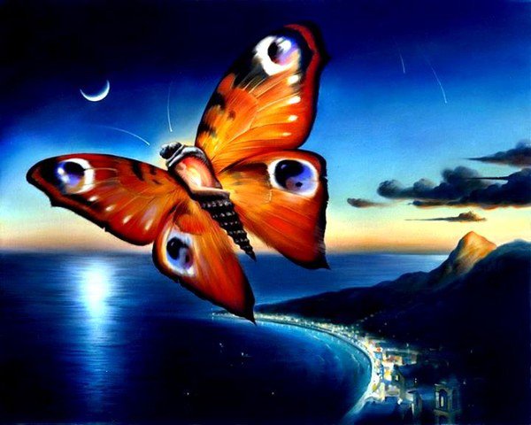 бабочка - берег, ночь, море - оригинал