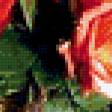 Предпросмотр схемы вышивки «розы» (№244953)