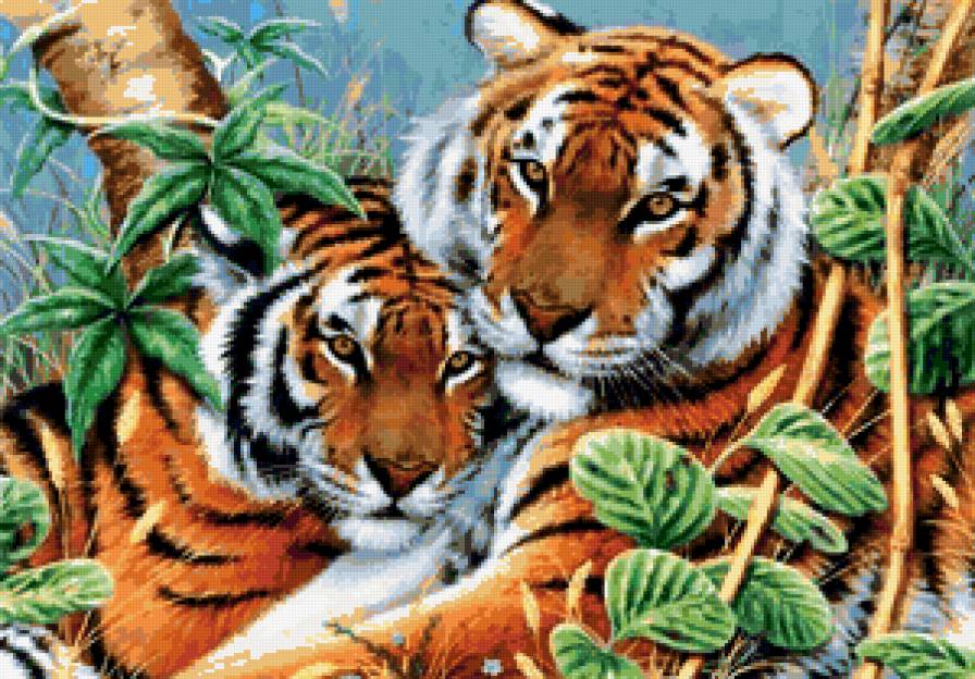 большие кошки - тигры - предпросмотр