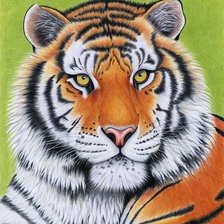 Оригинал схемы вышивки «тигр» (№245227)